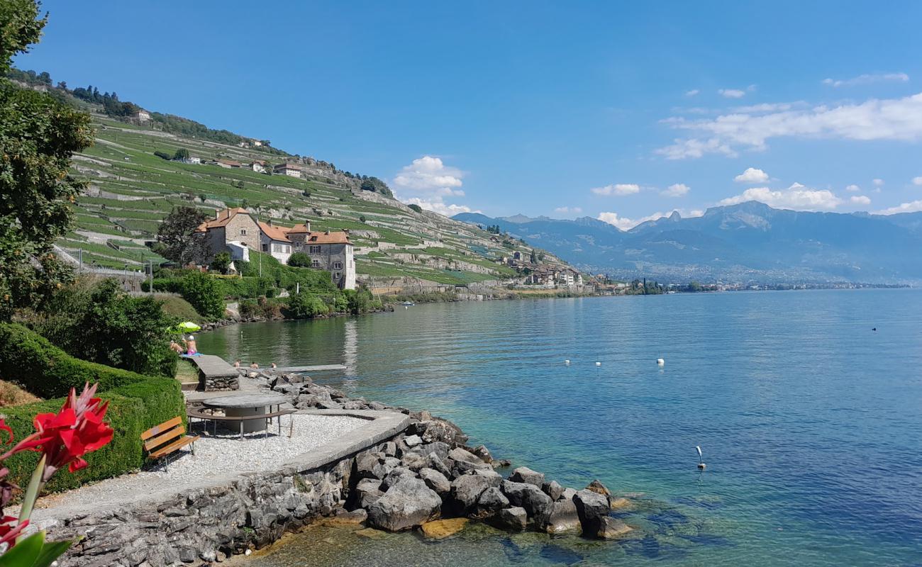 Rivaz Plage'in fotoğrafı çim yüzey ile