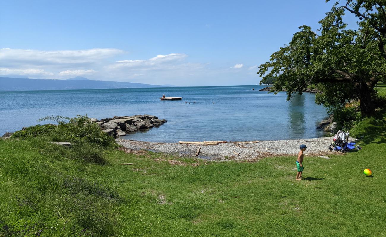 Plage de Cully'in fotoğrafı gri ince çakıl taş yüzey ile