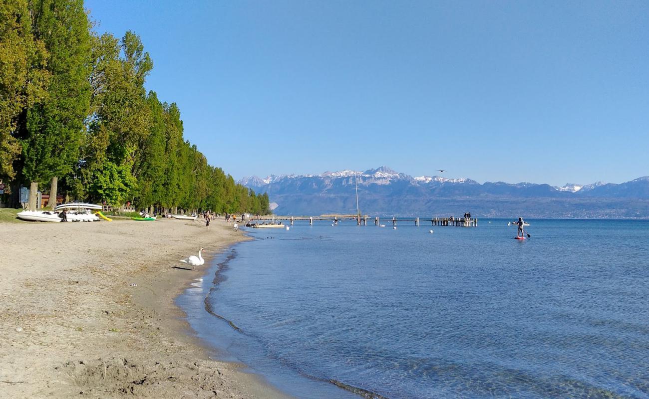 Plage de Preverenges'in fotoğrafı açık bej kum yüzey ile