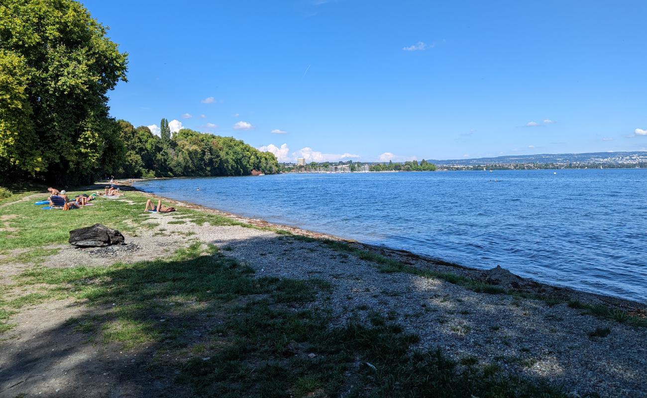 Plage du Stand'in fotoğrafı açık bej kum yüzey ile