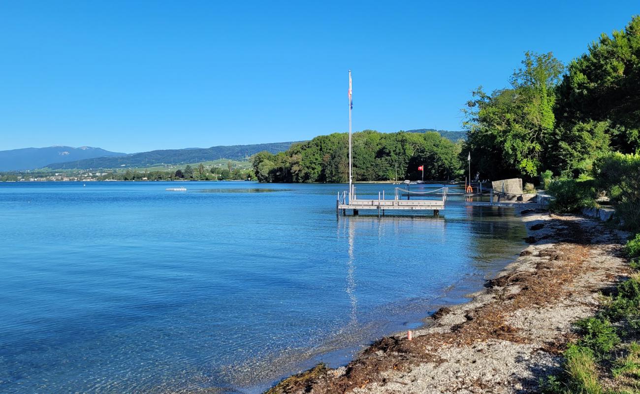 Allaman beach'in fotoğrafı gri çakıl taşı yüzey ile
