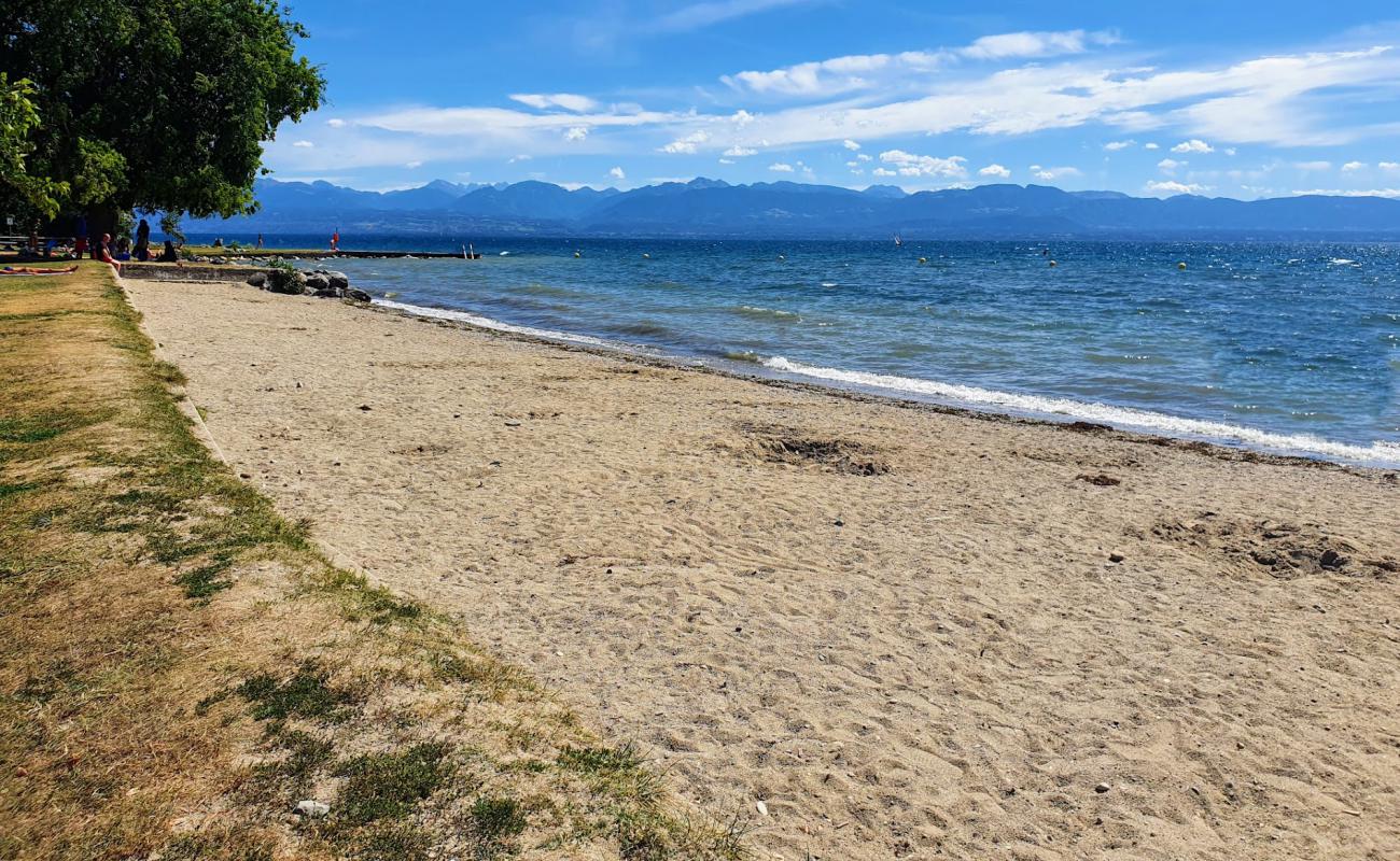 Plage de Rolle'in fotoğrafı açık bej kum yüzey ile