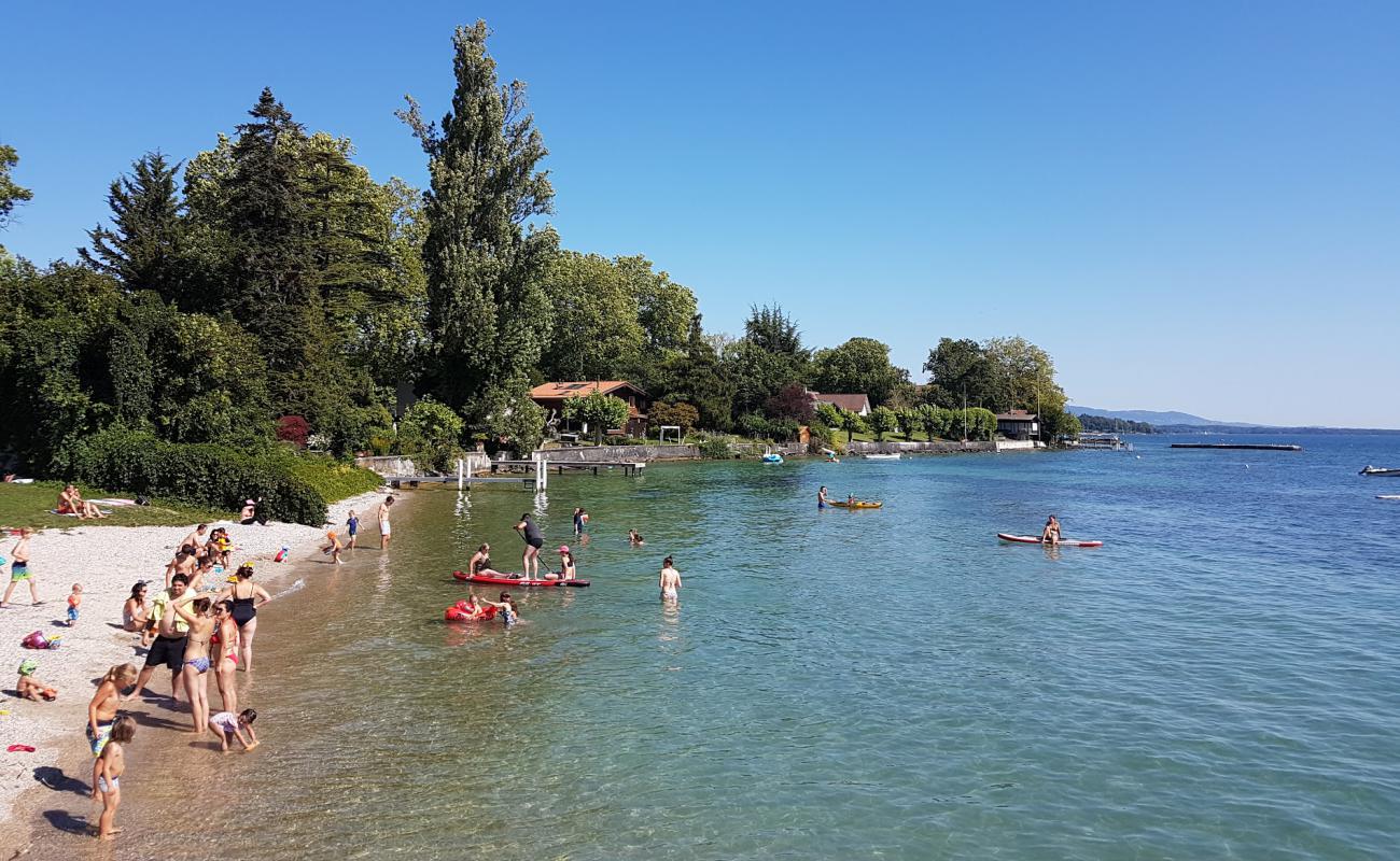 Plage de Celigny'in fotoğrafı çim yüzey ile