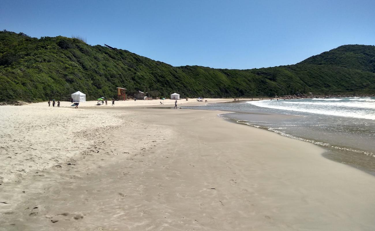 Praia do Rosa Norte'in fotoğrafı i̇nce bej kum yüzey ile