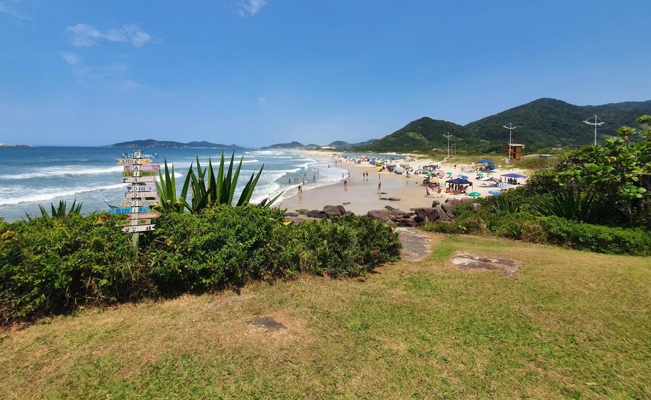 Praia do Siriu'in fotoğrafı i̇nce bej kum yüzey ile