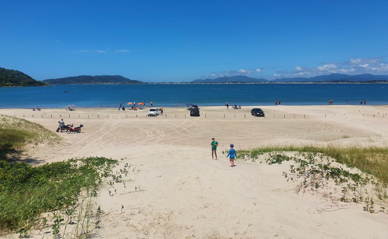 Praia Ponta Do Papagaio'in fotoğrafı i̇nce bej kum yüzey ile