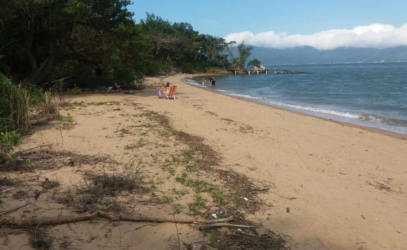 Praia do Cedro'in fotoğrafı parlak kum yüzey ile