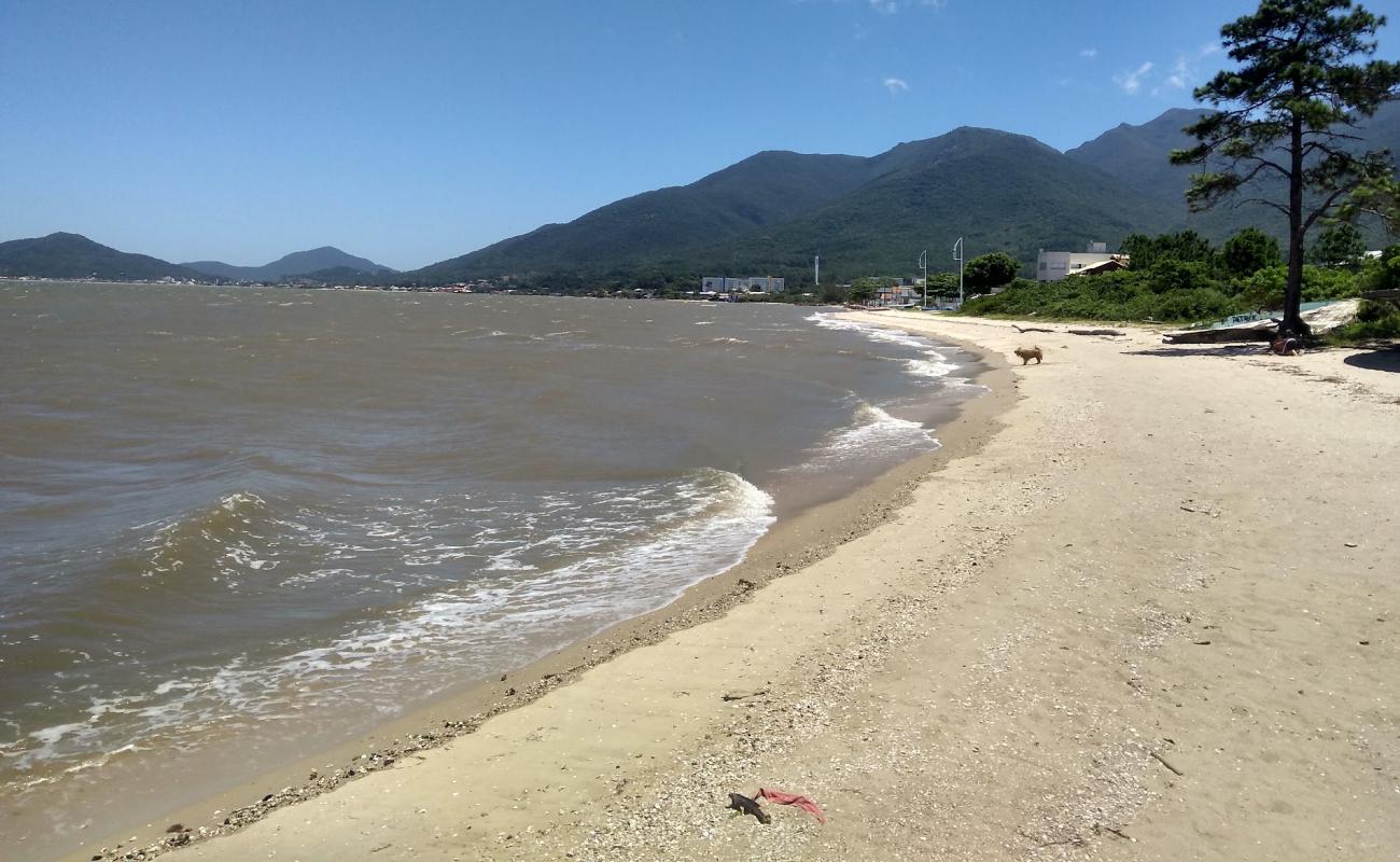 Praia da Barra do Aririu'in fotoğrafı parlak kum yüzey ile