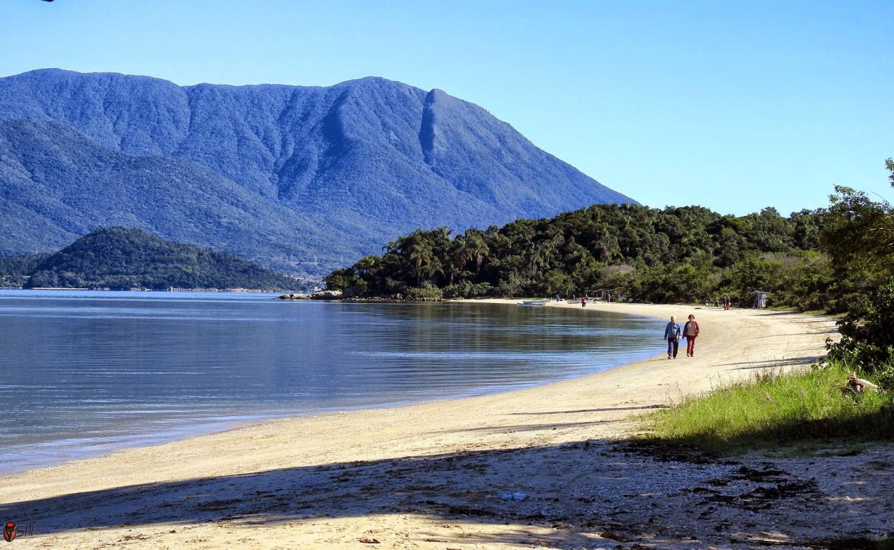 Praia de Fora'in fotoğrafı hafif ince çakıl taş yüzey ile