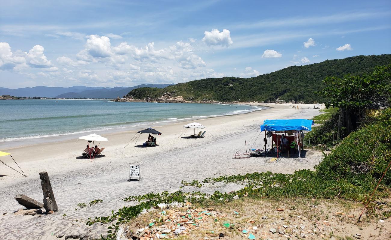 Praia de Naufragados'in fotoğrafı parlak kum yüzey ile