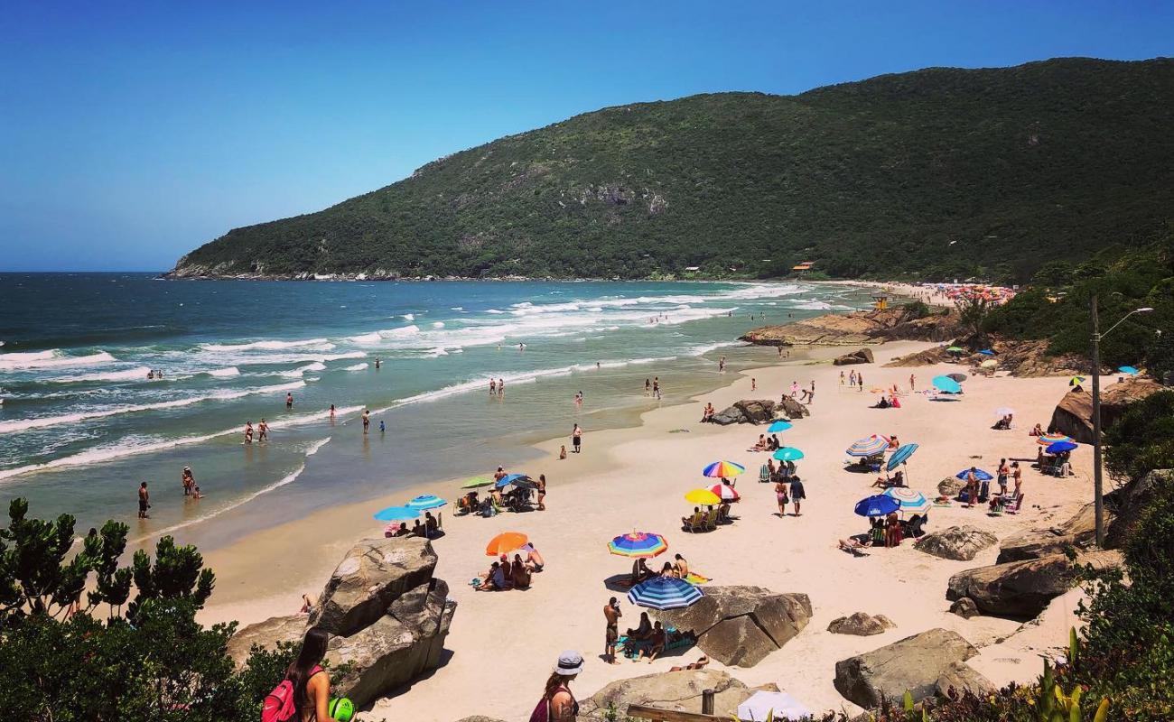 Praia do Matadeiro'in fotoğrafı parlak ince kum yüzey ile