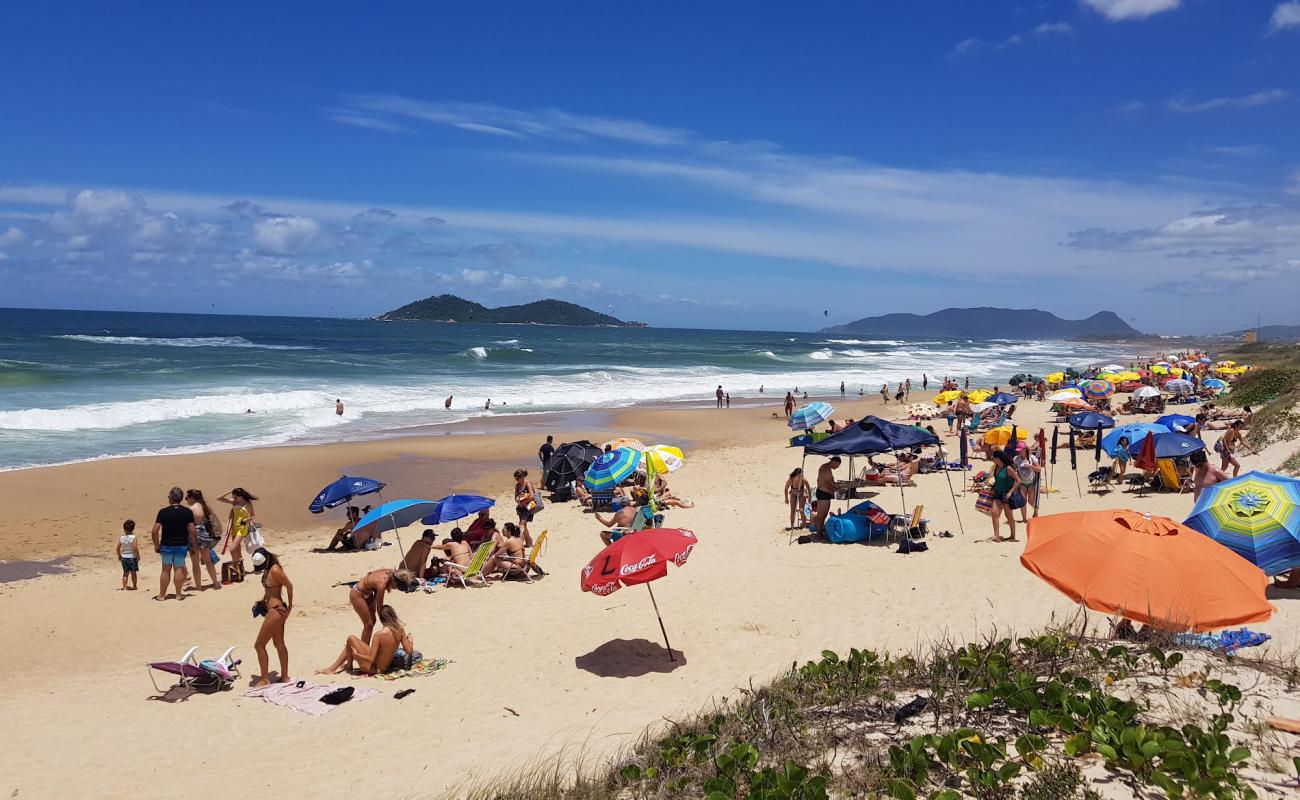 Praia do Campeche'in fotoğrafı i̇nce bej kum yüzey ile