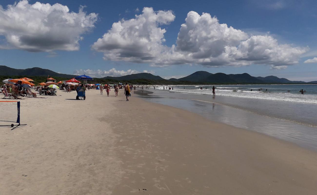 Barra da Lagoa Plajı'in fotoğrafı parlak ince kum yüzey ile