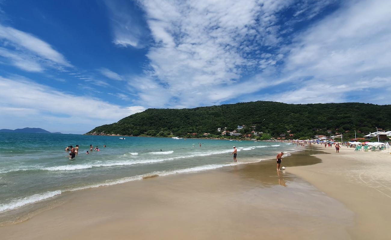 Ponta das Canas Plajı'in fotoğrafı parlak ince kum yüzey ile