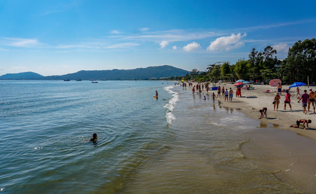 Praia do Canajure'in fotoğrafı açık bej kum yüzey ile