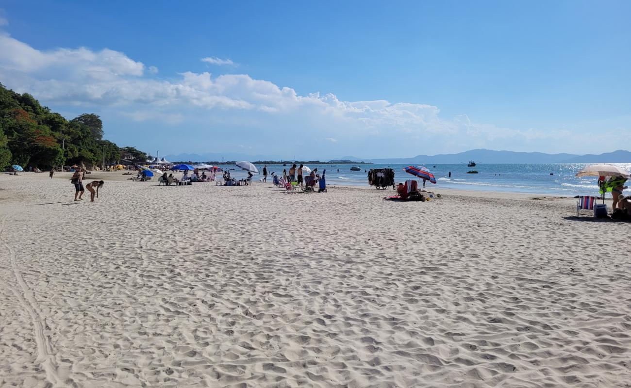 Praia do Forte'in fotoğrafı i̇nce bej kum yüzey ile