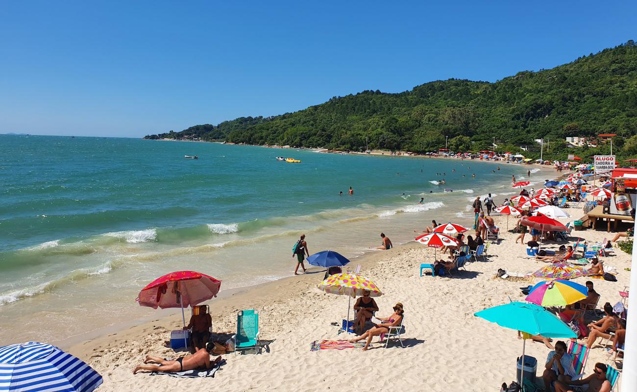 Praia De Daniela'in fotoğrafı i̇nce bej kum yüzey ile