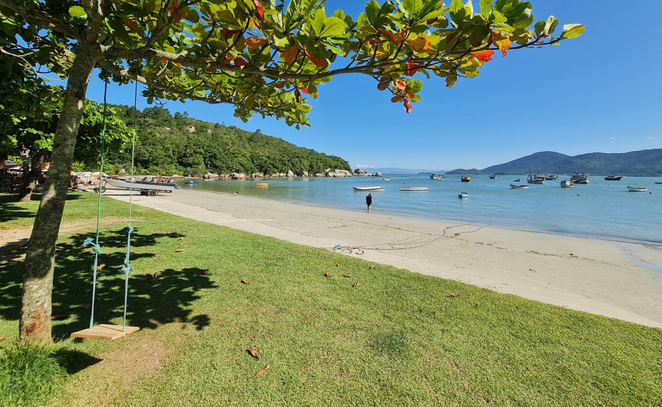 Praia da Armacao da Piedade'in fotoğrafı açık bej kum yüzey ile