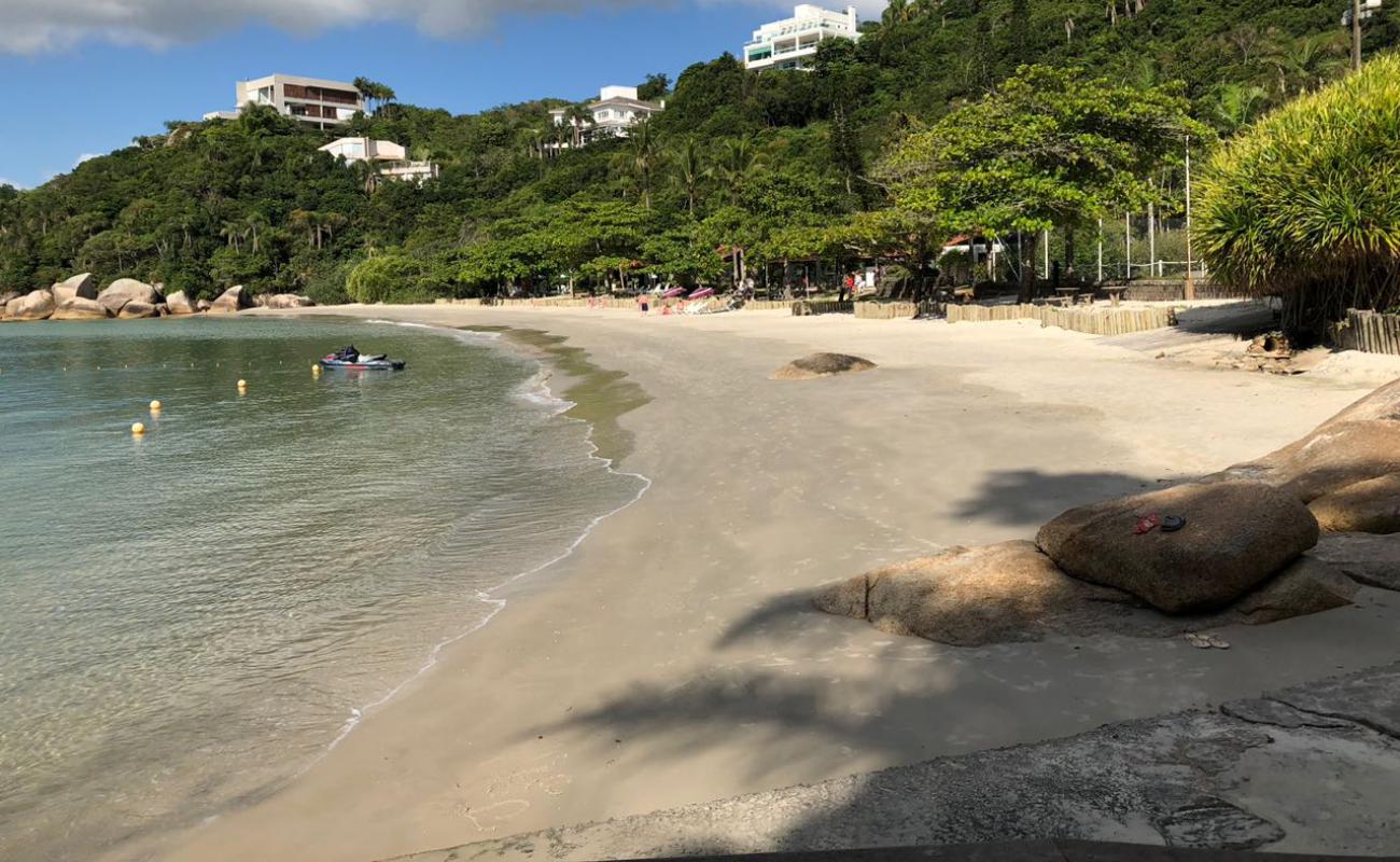 Praia da Figueira'in fotoğrafı açık bej kum yüzey ile