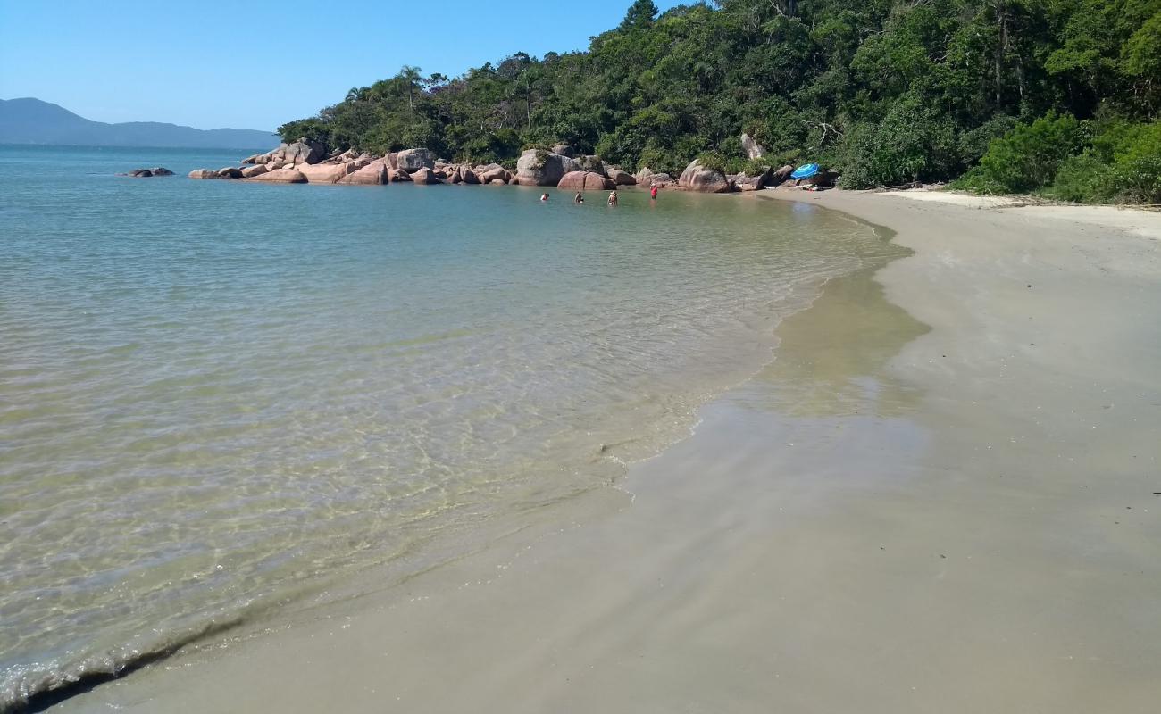 Prainha de Ganchos de Fora'in fotoğrafı açık bej kum yüzey ile