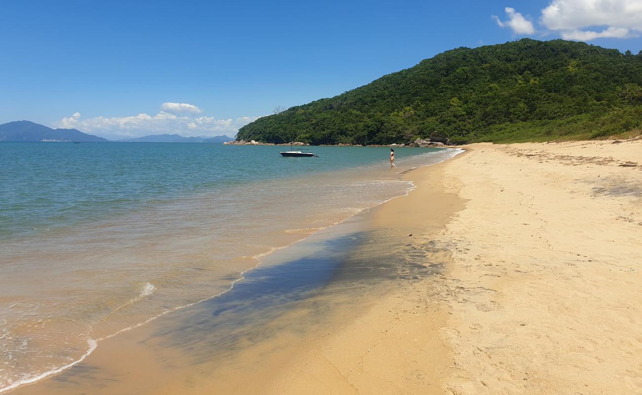 Praia da Lagoa'in fotoğrafı parlak kum yüzey ile