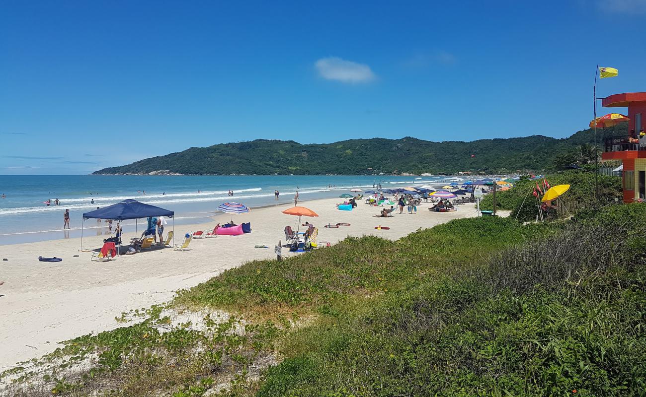 Praia de Mariscal'in fotoğrafı parlak ince kum yüzey ile