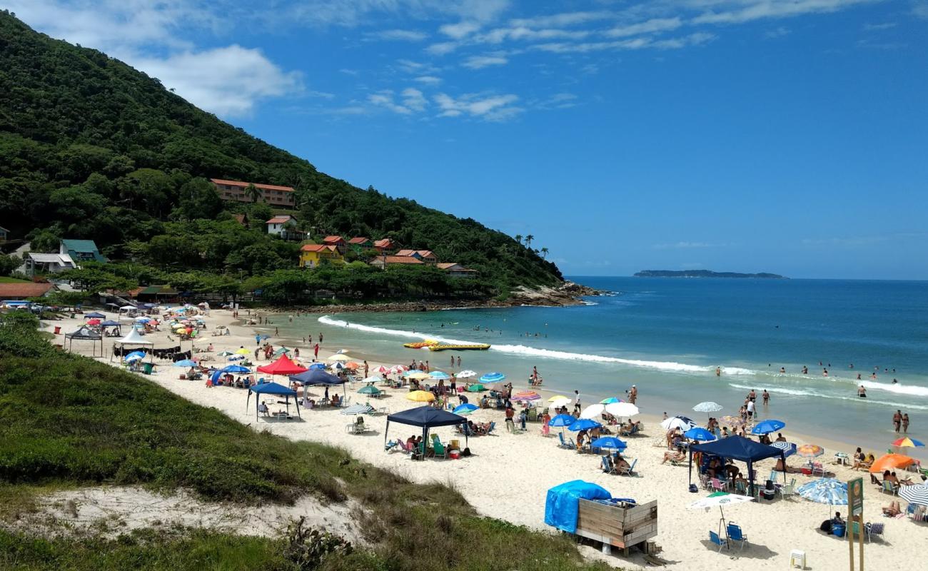 Praia Quatro Ilhas'in fotoğrafı parlak ince kum yüzey ile