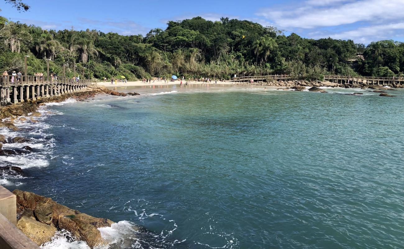 Praia do Ribeiro'in fotoğrafı açık bej kum yüzey ile