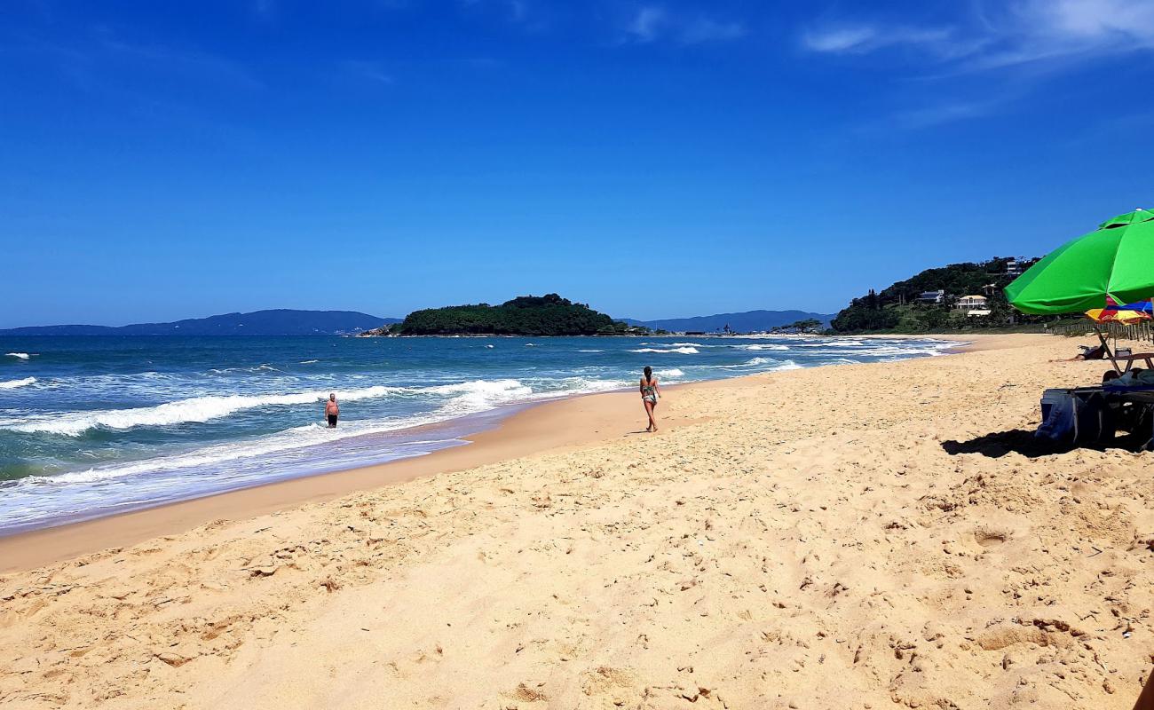 Praia da Ilhota'in fotoğrafı açık bej kum yüzey ile