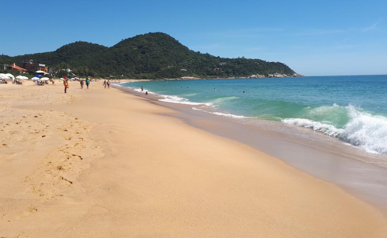 Praia do Estaleirinho'in fotoğrafı açık bej kum yüzey ile