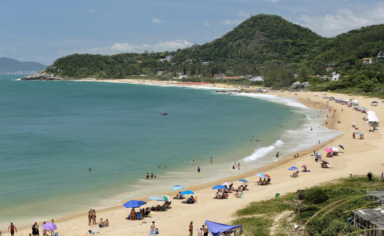 Praia do Estaleiro'in fotoğrafı parlak kum yüzey ile