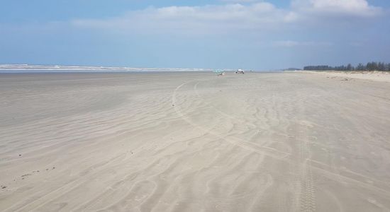 Balneario Flor de Iguape Plajı