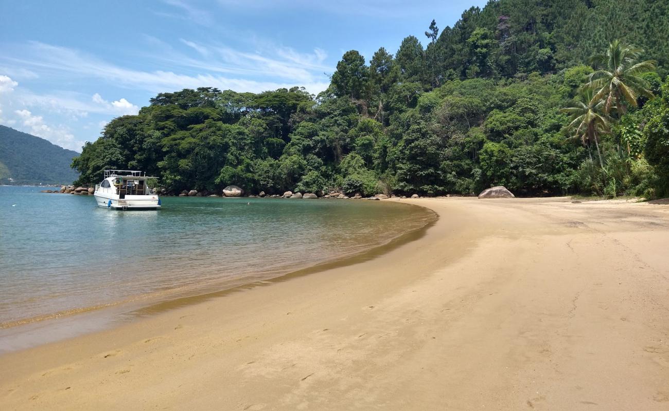 Praia da Ribeira'in fotoğrafı parlak kum yüzey ile