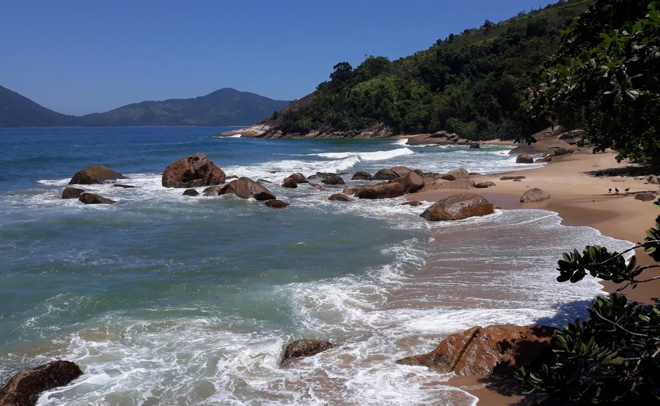 Praia do Tapia'in fotoğrafı açık bej kum yüzey ile