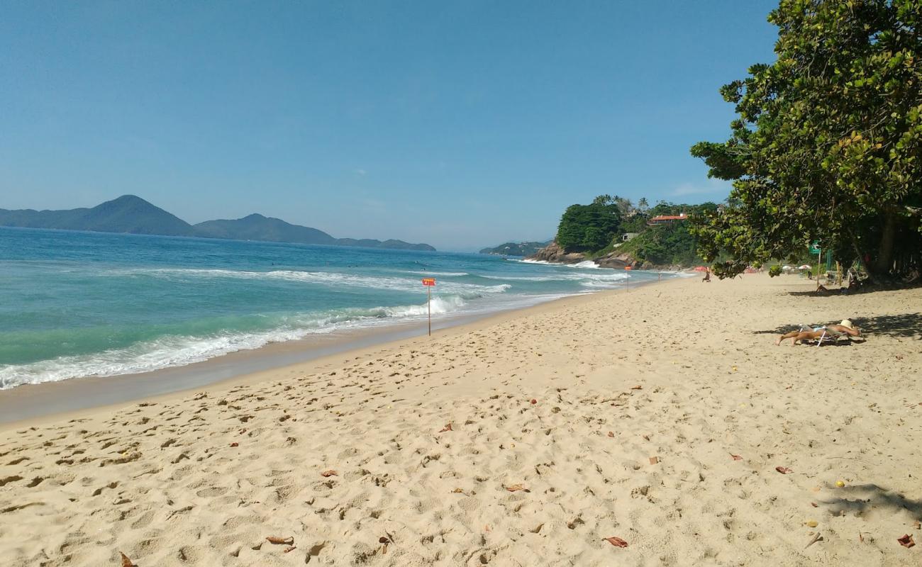 Vermelha Plajı'in fotoğrafı açık bej kum yüzey ile