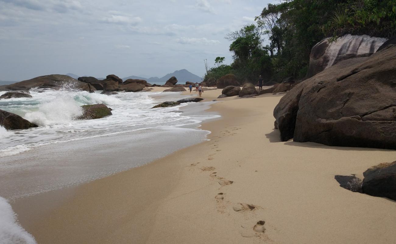 Praia Brava De Itamambuca'in fotoğrafı parlak kum yüzey ile