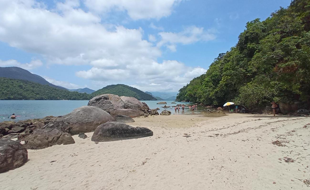 Ilha da Cutia Plajı'in fotoğrafı açık bej kum yüzey ile