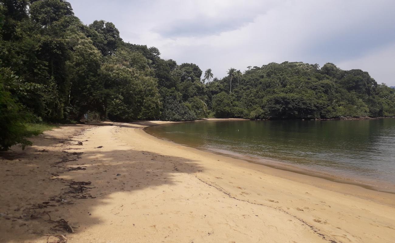 Pitanga Plajı'in fotoğrafı açık bej kum yüzey ile