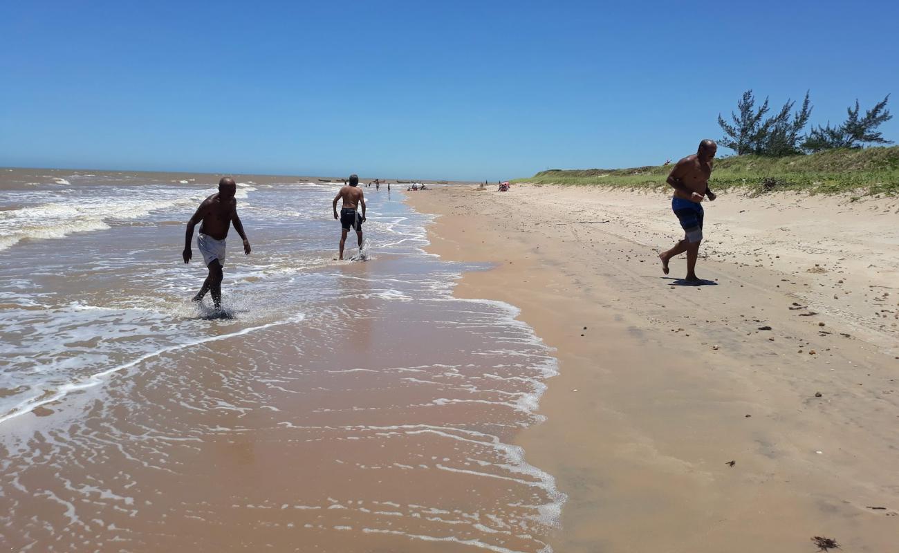 Samambaia Plajı'in fotoğrafı açık bej kum yüzey ile