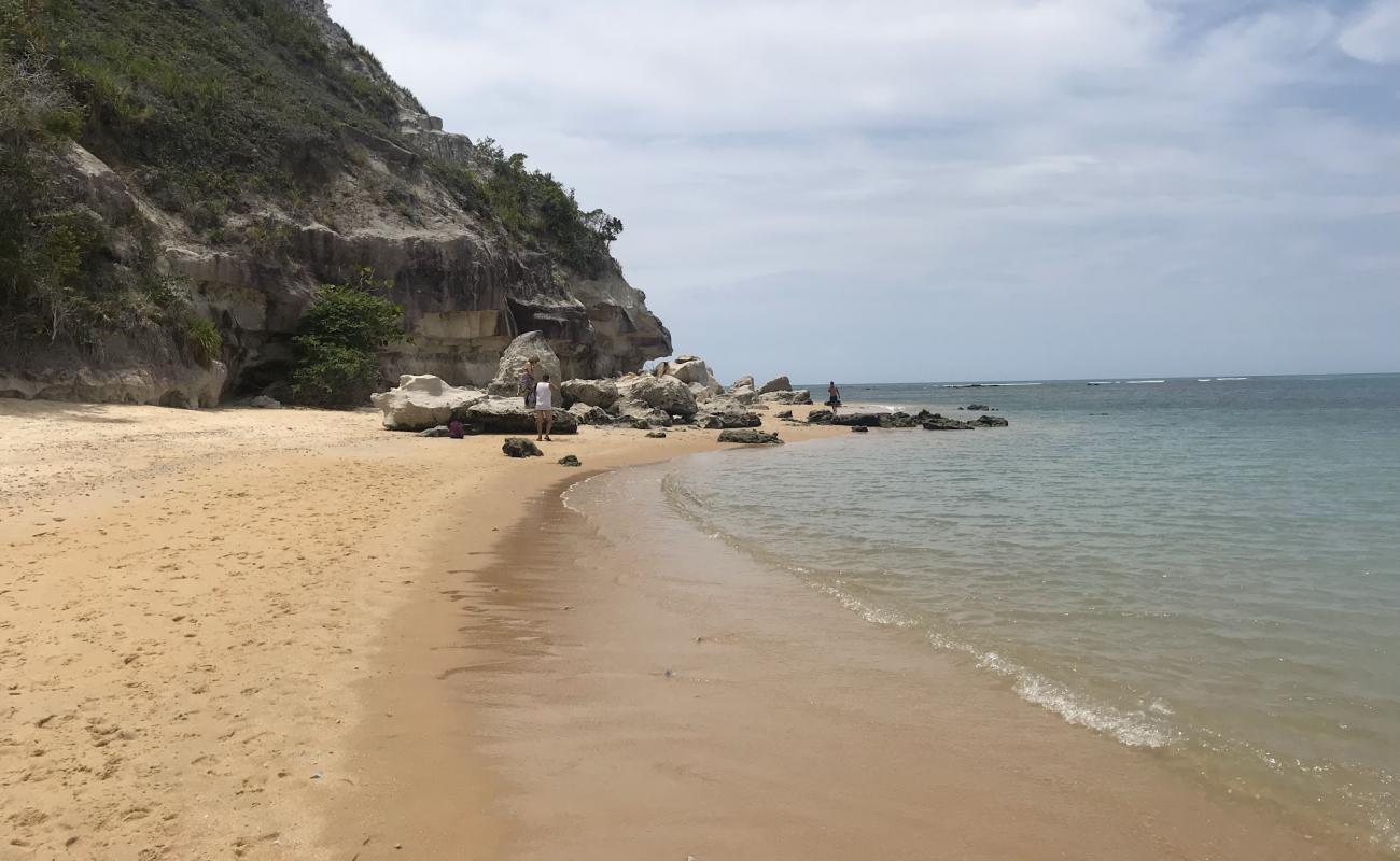 Curuipe Plajı'in fotoğrafı açık bej kum yüzey ile