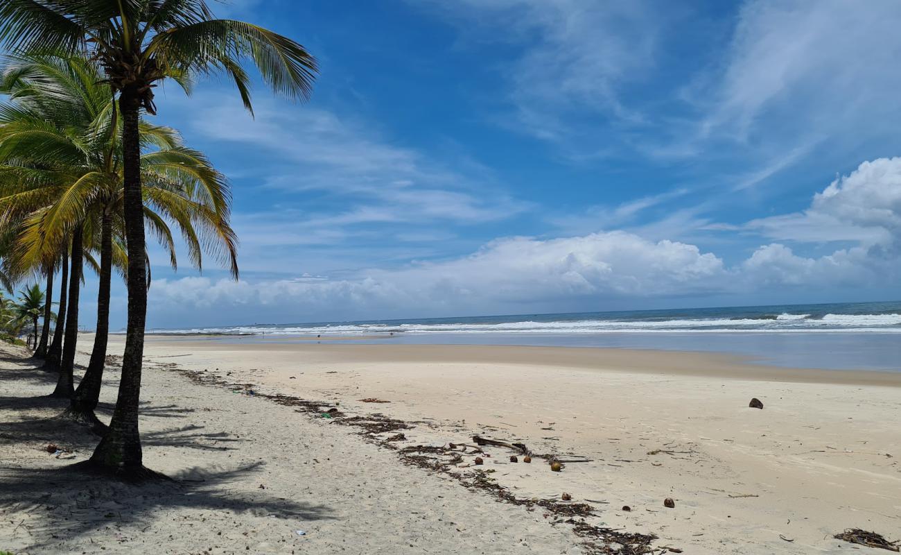 Praia do Sul'in fotoğrafı i̇nce bej kum yüzey ile