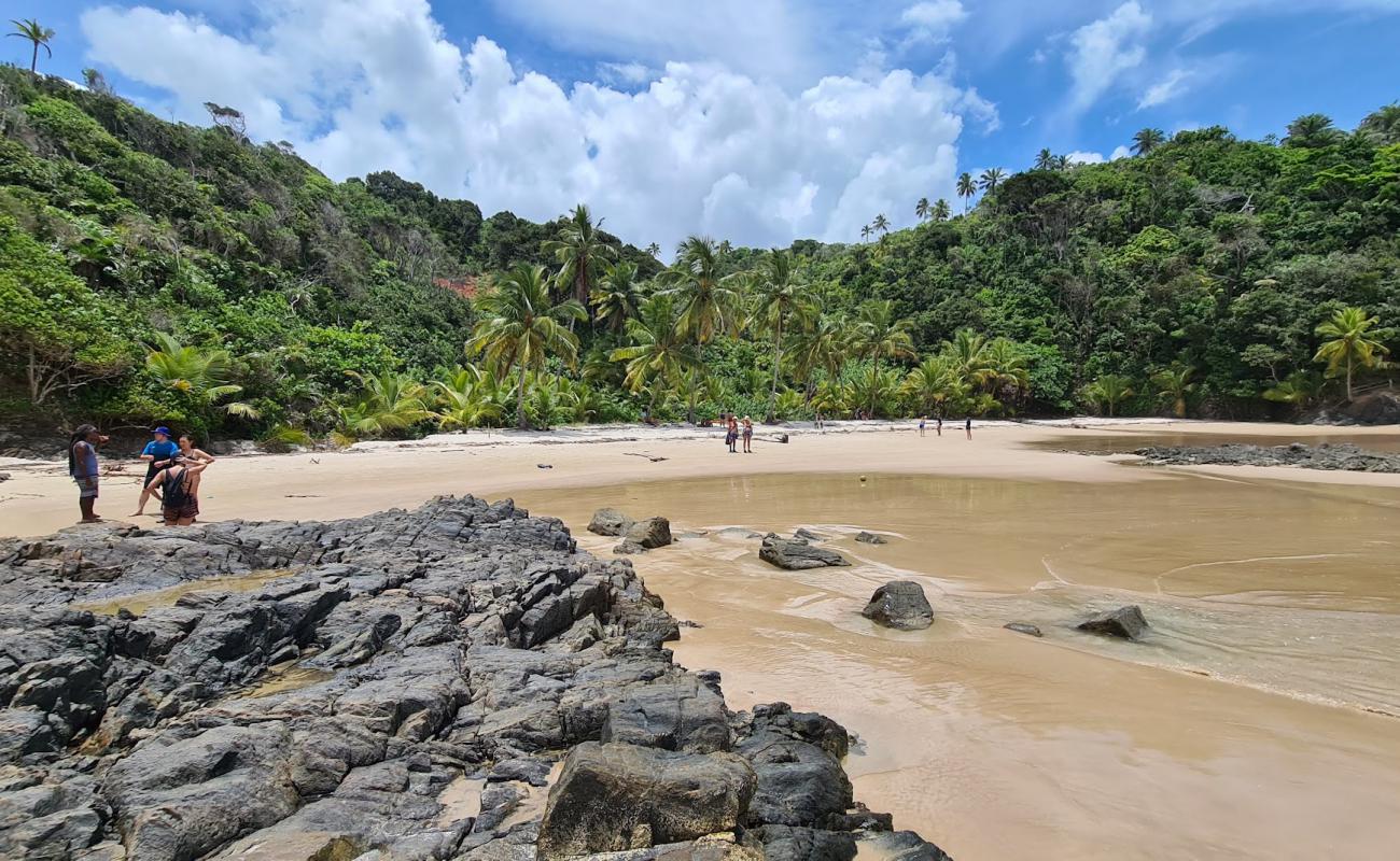 Praia da Camboinha'in fotoğrafı parlak ince kum yüzey ile