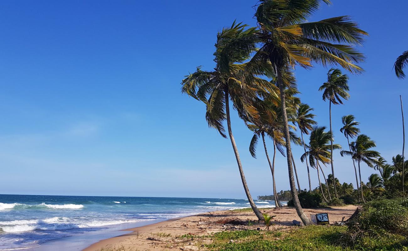 Praia de Bombasa'in fotoğrafı parlak ince kum yüzey ile