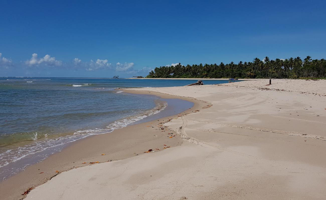 Ponta dos Castelhanos'in fotoğrafı parlak kum yüzey ile