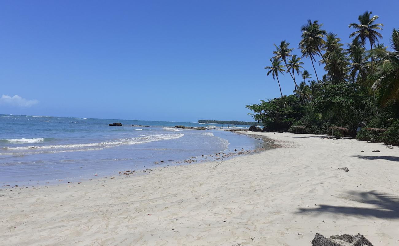 Praia de Tassimirim'in fotoğrafı parlak kum yüzey ile