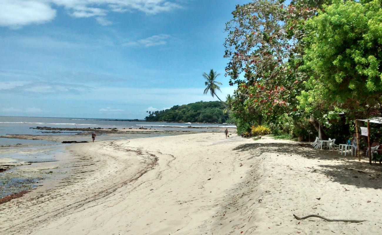 Praia de Ilha de Boipeba'in fotoğrafı parlak kum yüzey ile