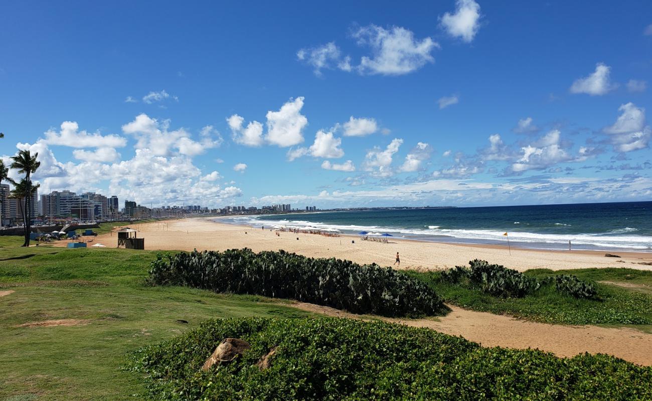 Praia de Armacao'in fotoğrafı açık bej kum yüzey ile
