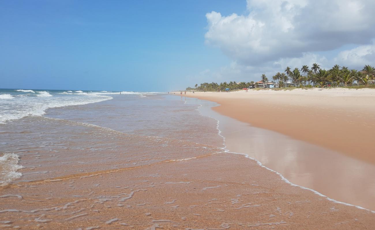 Praia do Caribinho'in fotoğrafı parlak kum yüzey ile