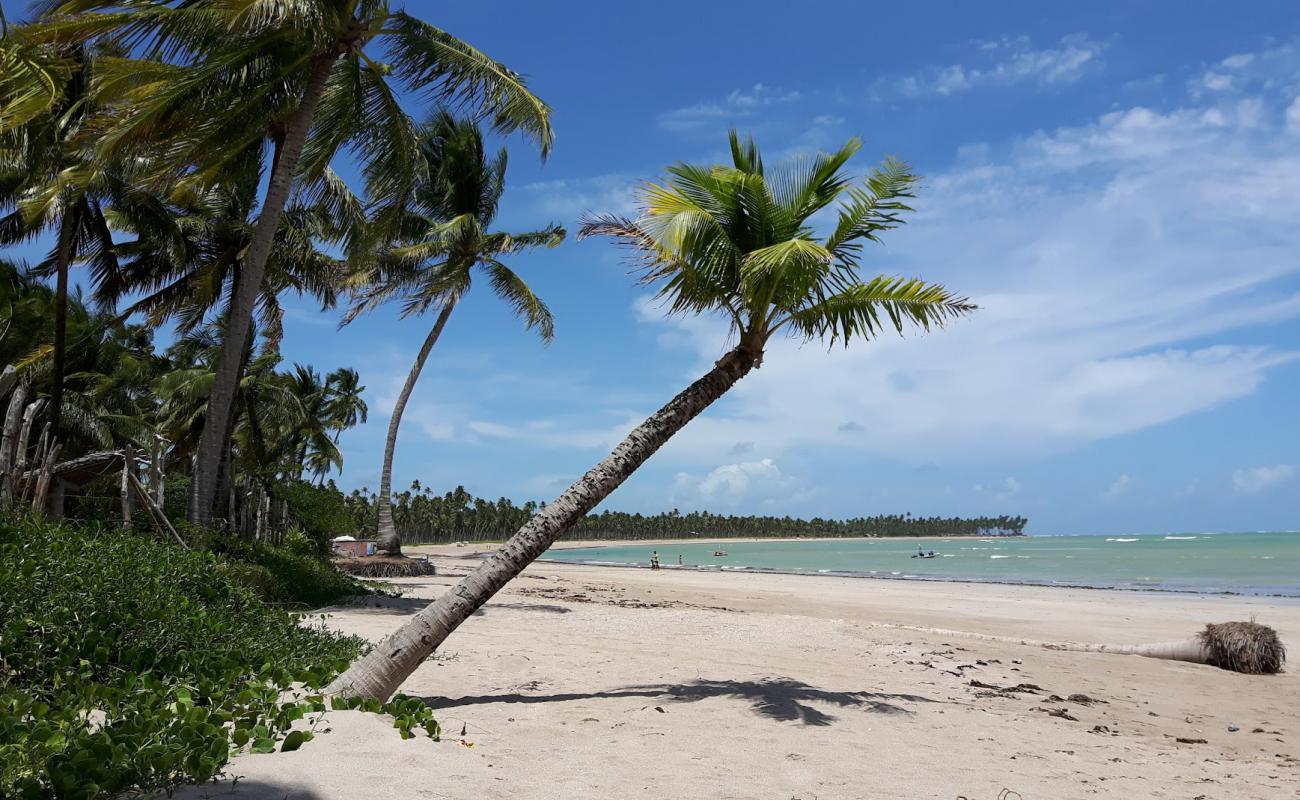 Praia do Patacho'in fotoğrafı açık bej kum yüzey ile