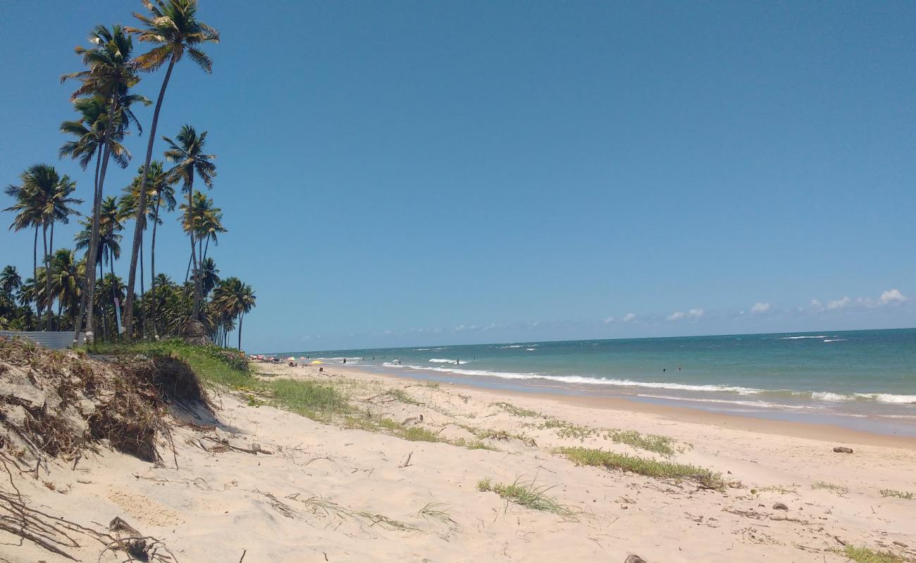 Praia das Caletas'in fotoğrafı açık bej kum yüzey ile